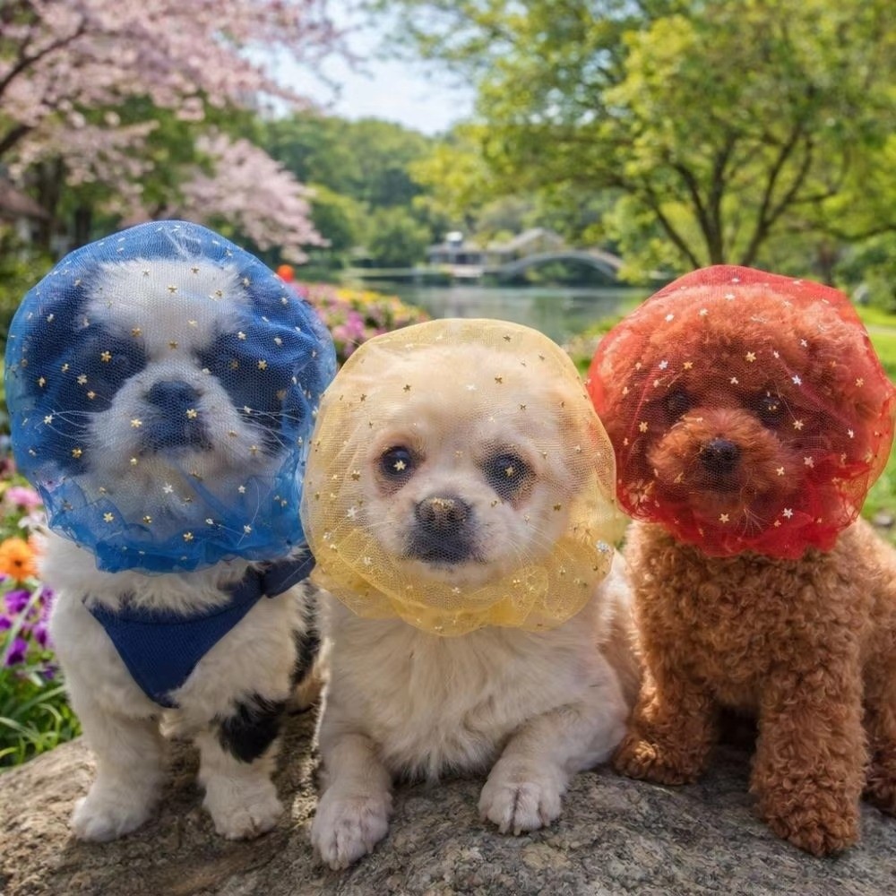 Mask Lanyard Adjustable - Breathable Dog Anti-Eating Veil Comfort Adjustable